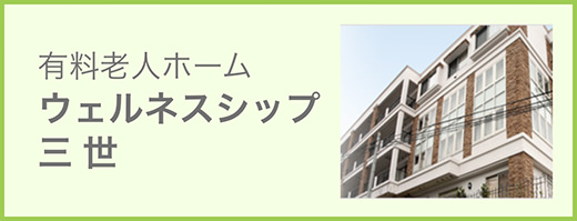 ウェルネスシップ三世